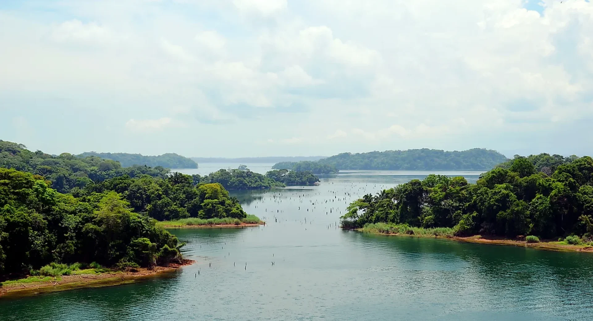 Fondo-Gatun-Lake-1.webp