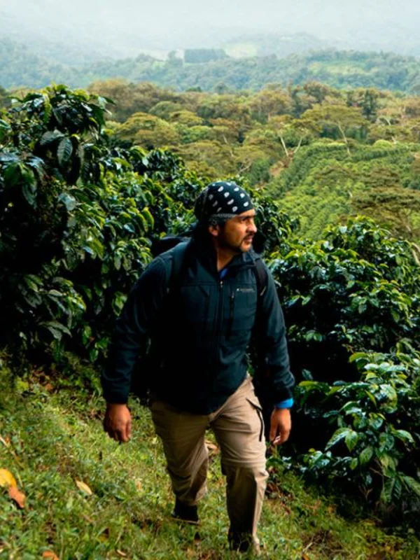 Panama-5.webp