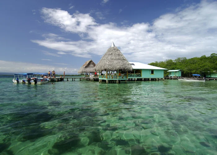 Tour-Coffee-Farm-Resort-2.webp