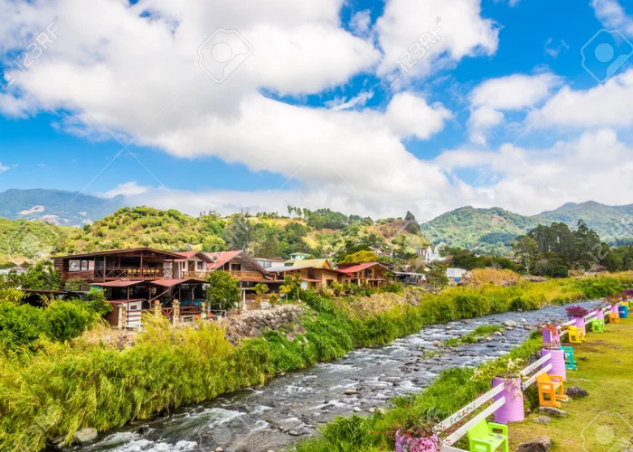 Tour-Coffee-Farm-Resort-9.webp