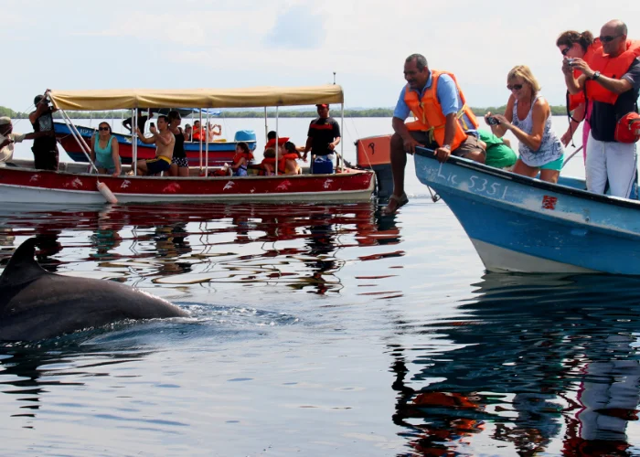 Tour-Gatun-Lake-3.webp