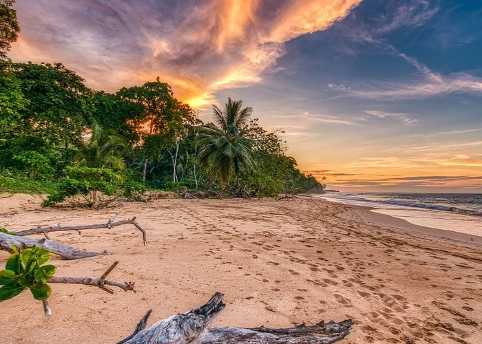 Tour-Isla-Colon-Bocas-Del-Toro-2.webp