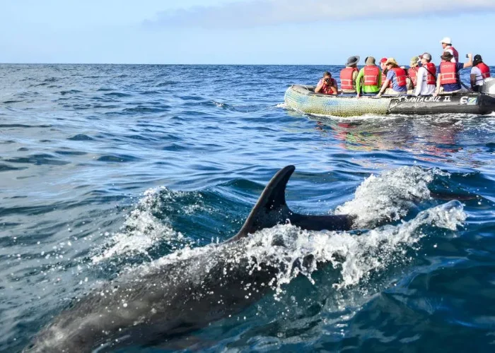 Tour-Isla-Colon-Bocas-Del-Toro-3.webp