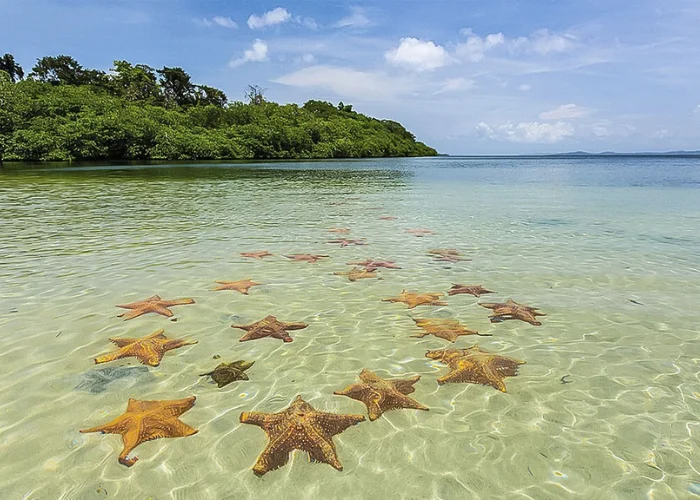 Tour-Isla-Colon-Bocas-Del-Toro-4.webp