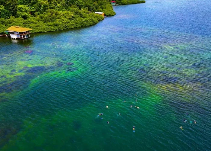 Tour-Isla-Colon-Bocas-Del-Toro-5.webp